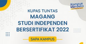 Read more about the article Kupas Tuntas Magang & Studi Independen Kampus Merdeka 2022